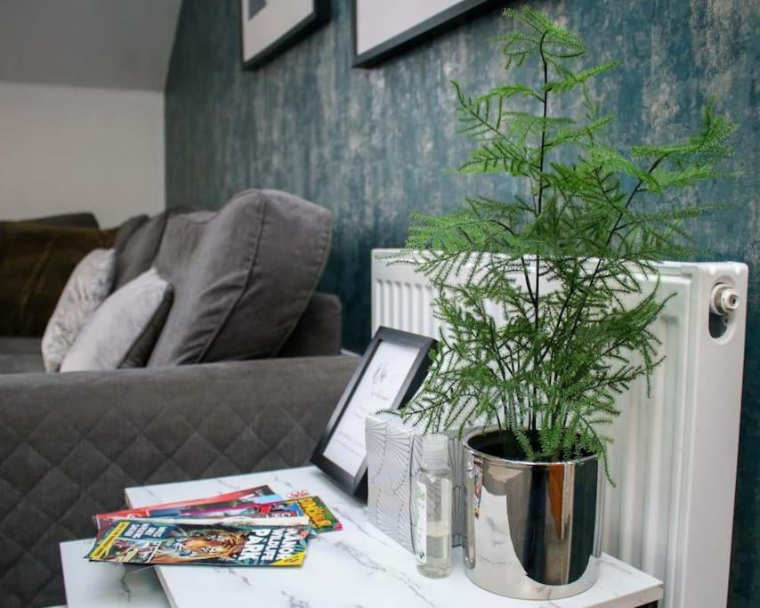 Luxe Living Guest House-Sleeps 6-Private Parking-Free Wifi-Beach-City Swansea Exterior foto